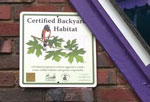 Certified Backyard Habitat
